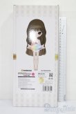 画像3: colection doll/エヴァンゲリオン 綾波レイ S-25-10-26-258-TN-ZS (3)