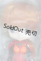 画像: Collection Doll/式波・アスカ・ラングレー/0 I-25-08-10-004-TN-ZI