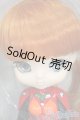 画像: Collection Doll/式波・アスカ・ラングレー Y-26-02-04-279-TN-ZY