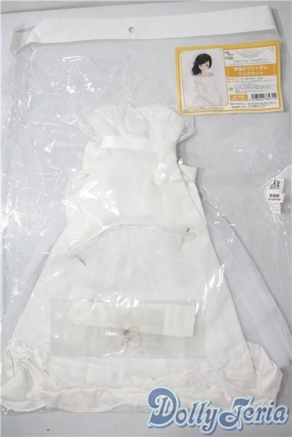 画像1: DD/OF:幸福のブライダルドレスセット A-25-08-13-1054-TN-ZU (1)