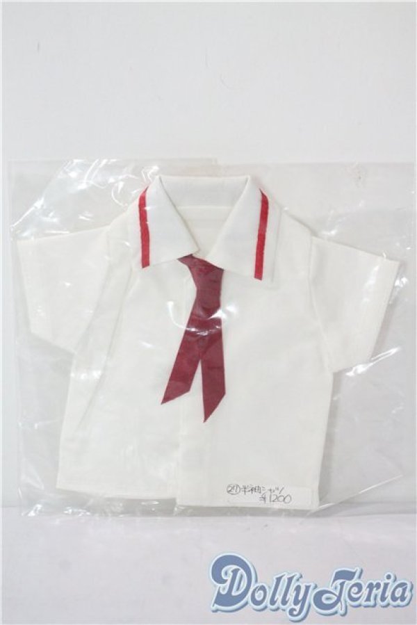 画像1: DD/OF:衣装セット A-25-08-13-1069-TO-ZU (1)