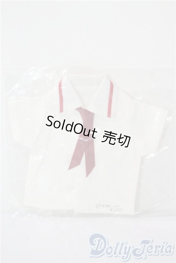 画像1: DD/OF:衣装セット A-25-08-13-1069-TO-ZU (1)