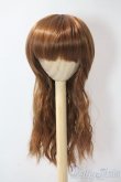 画像1: 9-10inch/ウィッグ U-25-08-19-023-TN-ZU (1)