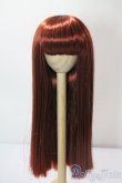 画像1: 9-10inch/ウィッグ U-25-08-19-022-TN-ZU (1)