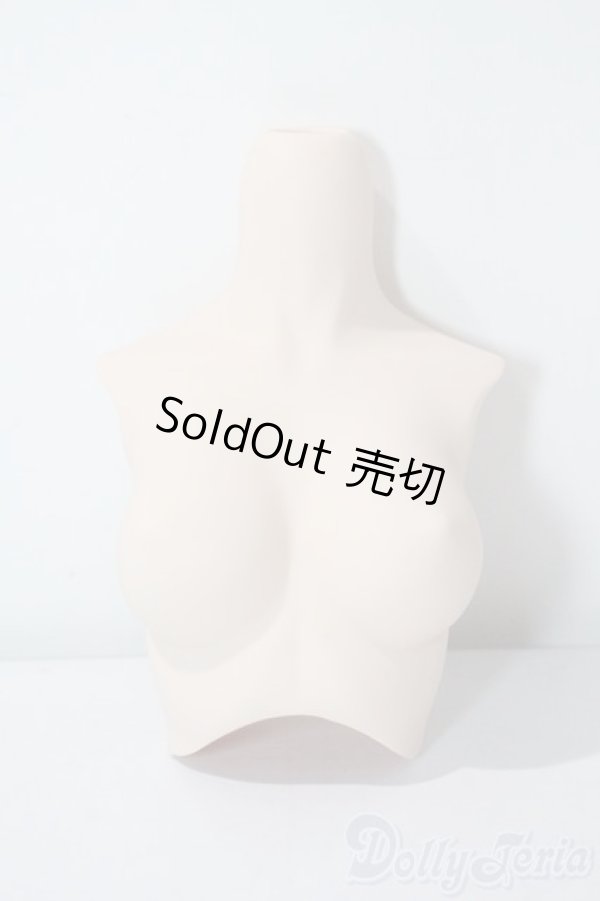 画像1: DD/上半身パーツ A-25-08-20-1068-TN-ZU (1)