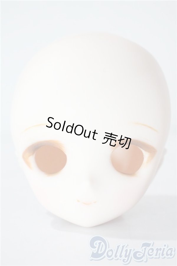 画像1: DD/DDH-01 ヘッド A-25-08-27-1079-TN-ZU (1)