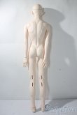 画像6: SOUL DOLL/ZENITHBOY　DAO　flower ver. A-25-08-20-1100-TN-ZU (6)