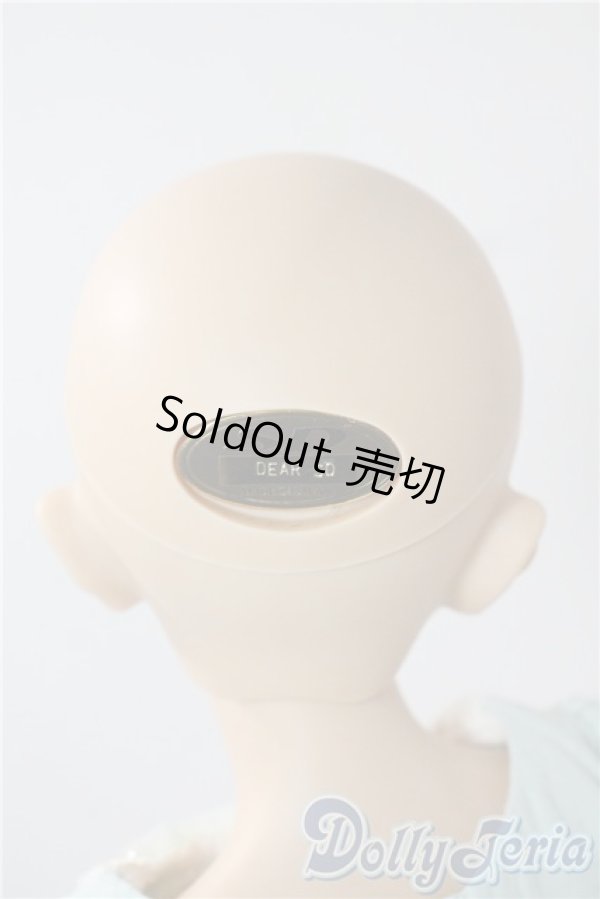 画像4: Dear SD/ヴァネッサ　Vanessa U-25-08-19-210-TN-ZU (4)