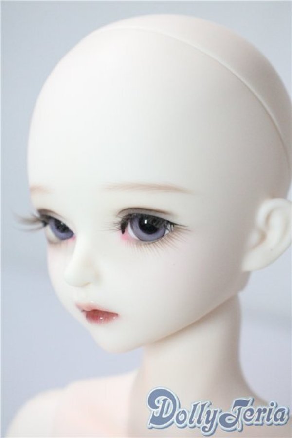 専用になりました　myoudoll Delia フルセット DOLK×MELODY.C×MYOU DOLL】白猫Delia ver. Limited - Special