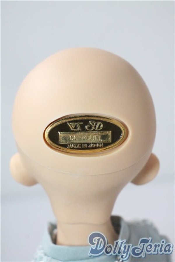 画像5: SDM/F-33:コーディネートモデル A-25-08-26-213-TN-ZA (5)