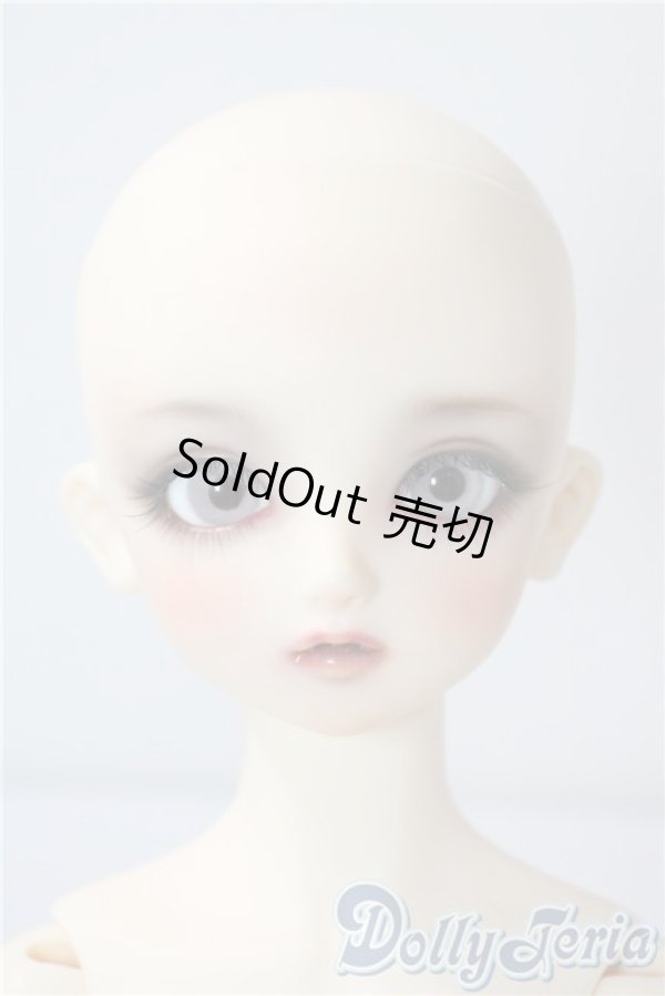 画像1: SD/まい：スタンダードモデル U-25-08-26-216-TN-ZU (1)