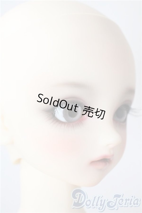 画像2: SD/まい：スタンダードモデル U-25-08-26-216-TN-ZU (2)