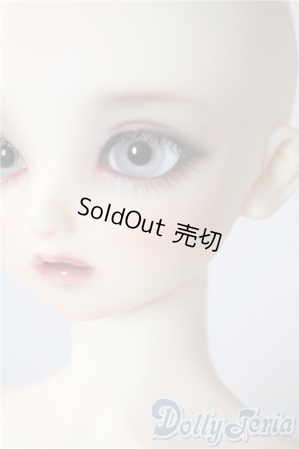 画像7: SD/まい：スタンダードモデル U-25-08-26-216-TN-ZU (7)