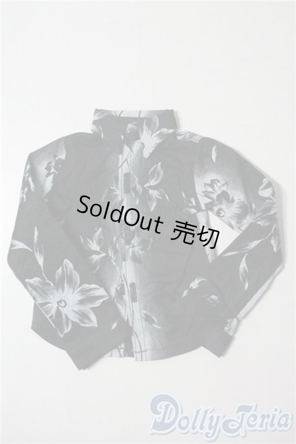 画像1: SD/OF:トップス U-25-09-02-012-TN-ZU (1)