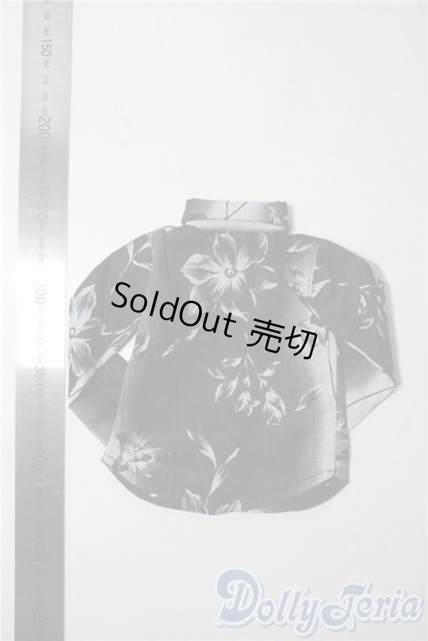 画像2: SD/OF:トップス U-25-09-02-012-TN-ZU (2)