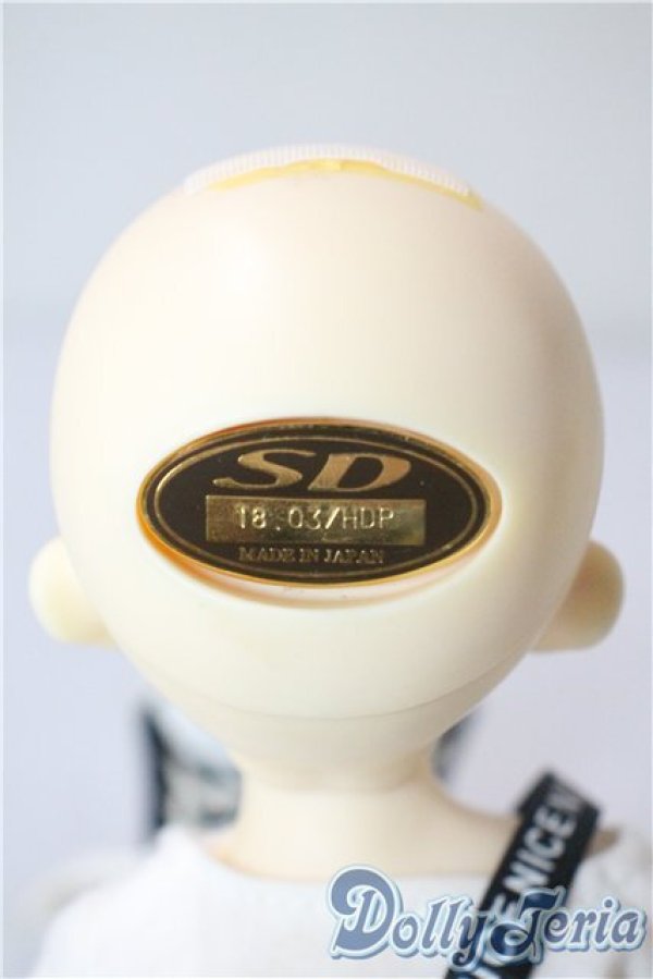 画像5: 幼SD/ダイ U-25-09-02-218-TN-ZU (5)