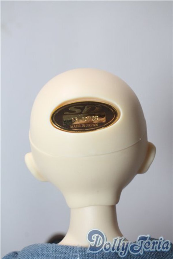 画像7: 幼MIDI/シンディヘッド&SDMボディ U-25-09-02-216-TN-ZU (7)