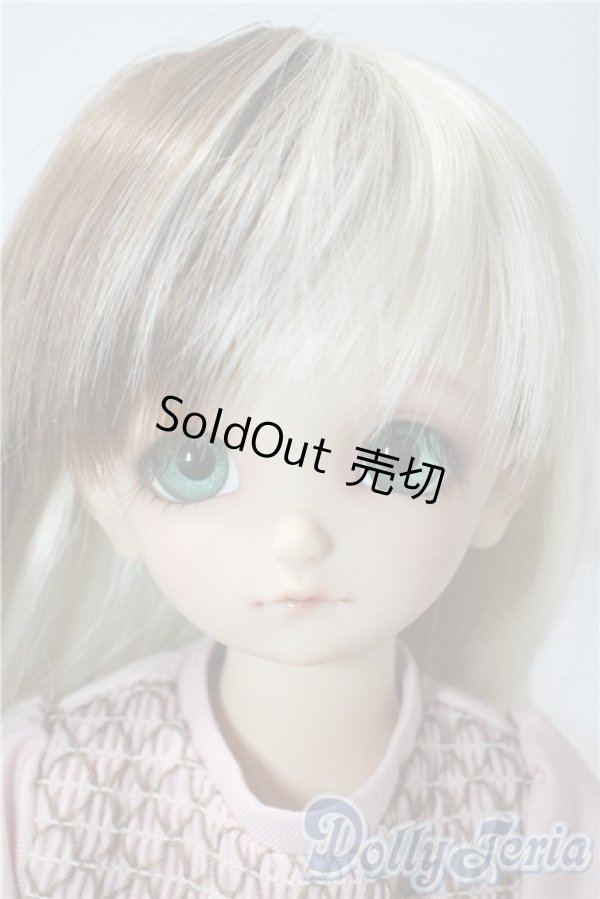 画像1: SDM/フルチョイスF-48 U-25-08-26-220-TN-ZU (1)