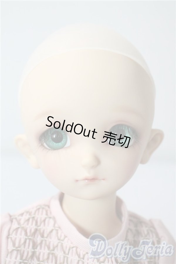 画像2: SDM/フルチョイスF-48 U-25-08-26-220-TN-ZU (2)