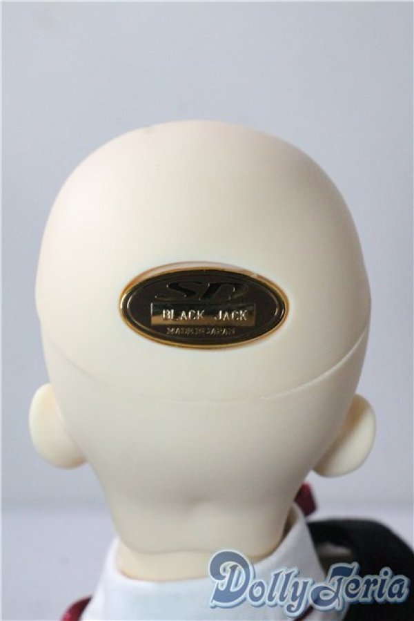 画像6: SD17男の子/ブラックジャック U-25-09-09-219-TN-ZU (6)