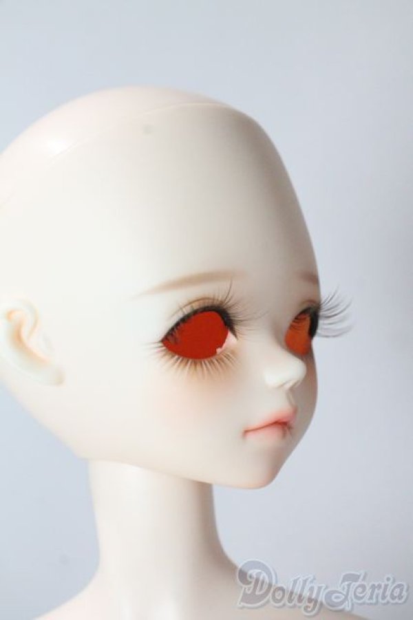 画像2: BLUEFAIRY/Theme special TF Nile - New face A-25-09-10-1097-TN-ZU (2)