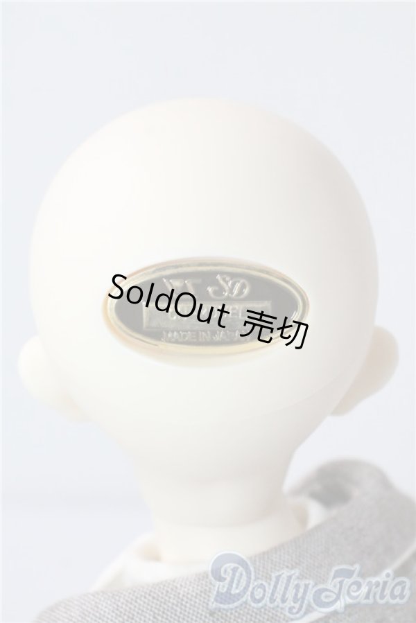 画像5: SDM/F-35：コーディネートモデル U-25-09-09-210-TN-ZU (5)