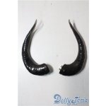 画像: SD/OF:角 U-25-09-09-183-TN-ZU