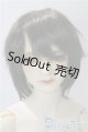 画像: SD17男の子/クロード/愛の王子 U-25-09-09-214-TN-ZU