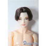 画像: petworks/六分の一男子図鑑EIGHT BASIC A-25-09-17-1045-TN-ZU