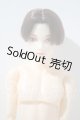 画像: petworks/六分の一男子図鑑EIGHT　BASIC A-26-10-14-1028-TN-ZU