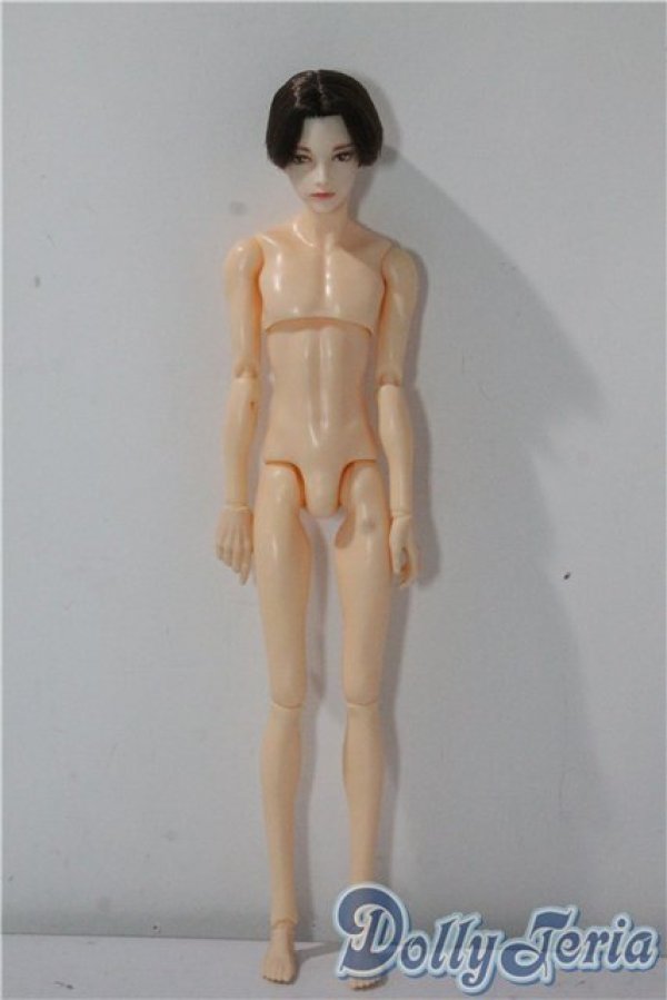 画像2: petworks/六分の一男子図鑑EIGHT　BASIC A-25-09-17-1045-TN-ZU (2)