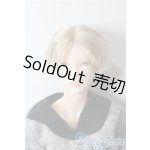 画像: petworks/六分の一男子図鑑 エイト ビーチスタイル A-25-09-17-1046-TN-ZU