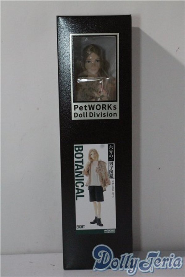 画像3: 六分の一男子図鑑/ボタニカルエイト A-25-09-17-1048-TN-ZU (3)