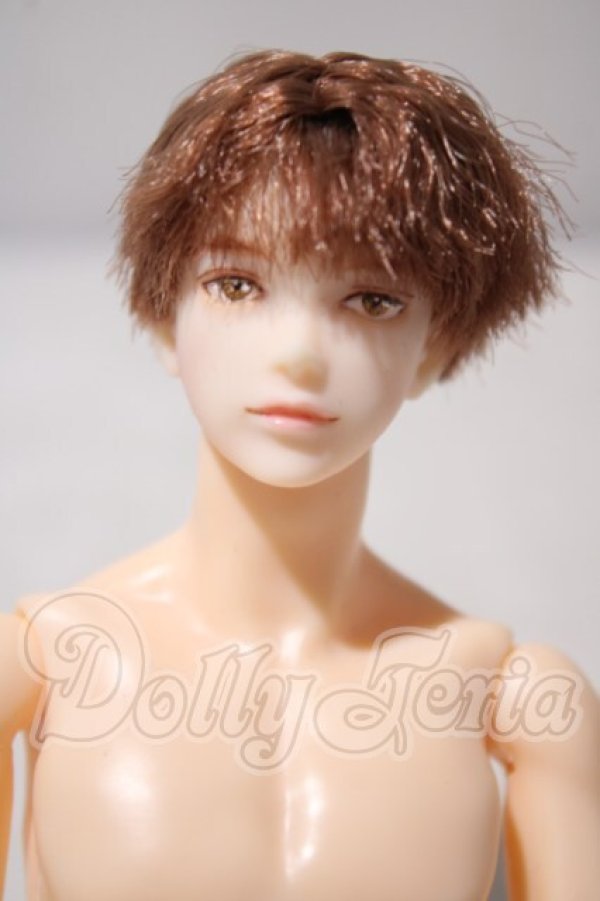 画像1: petworks/六分の一男子図鑑EIGHT　BASIC A-26-10-21-1009-TN-ZU (1)