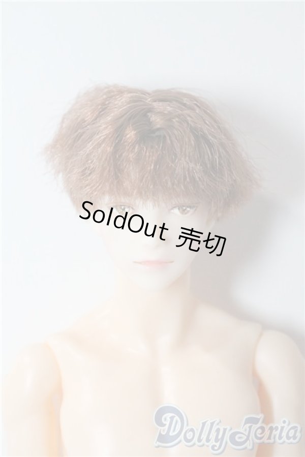 画像1: petworks/六分の一男子図鑑EIGHT　BASIC A-25-09-17-1044-TN-ZU (1)