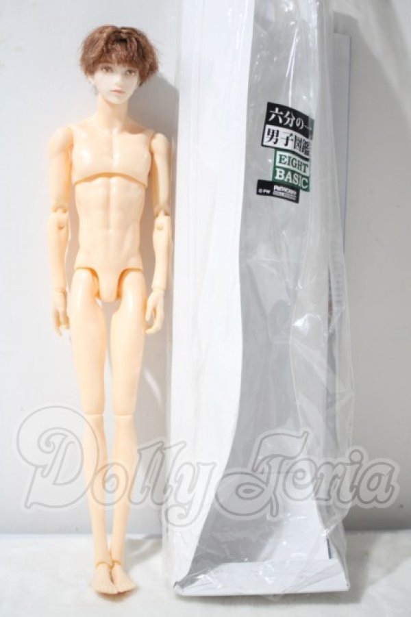 画像2: petworks/六分の一男子図鑑EIGHT　BASIC A-26-10-21-1009-TN-ZU (2)
