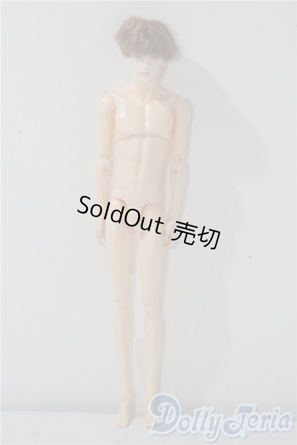 画像2: petworks/六分の一男子図鑑EIGHT　BASIC A-25-09-17-1044-TN-ZU (2)