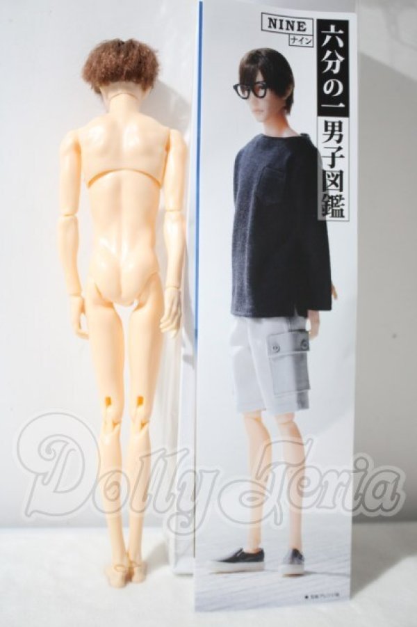 画像3: petworks/六分の一男子図鑑EIGHT　BASIC A-26-10-21-1009-TN-ZU (3)