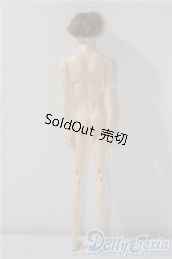 画像3: petworks/六分の一男子図鑑EIGHT　BASIC A-25-09-17-1044-TN-ZU (3)