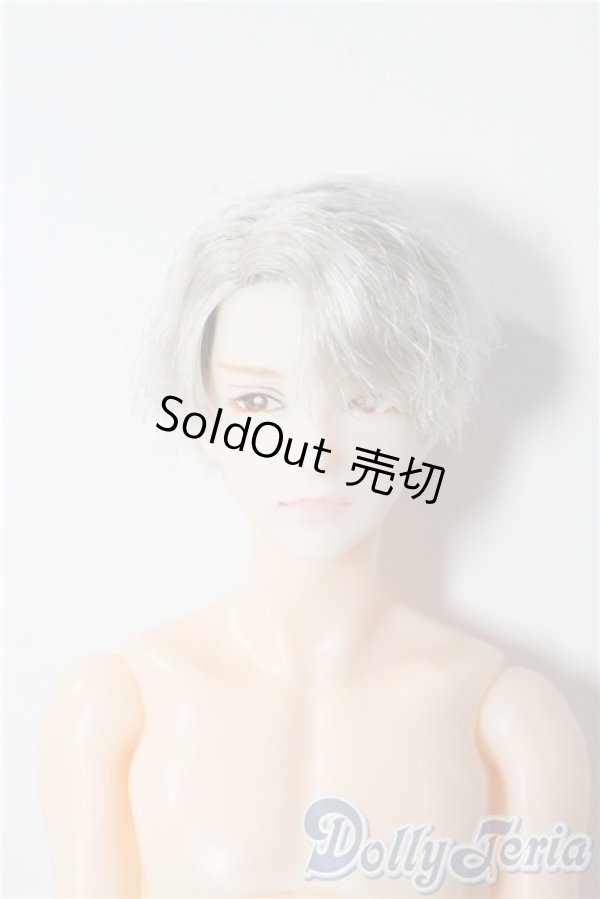 画像1: petworks/六分の一男子図鑑　エイト A-25-09-17-1032-TN-ZU (1)