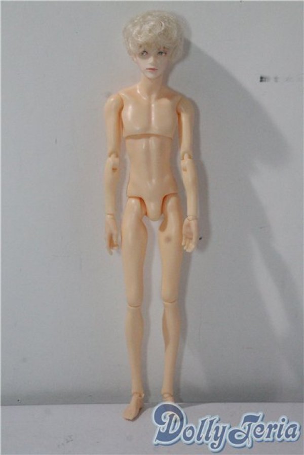 画像2: petworks/六分の一男子図鑑　エイト A-25-09-17-1031-TN-ZU (2)