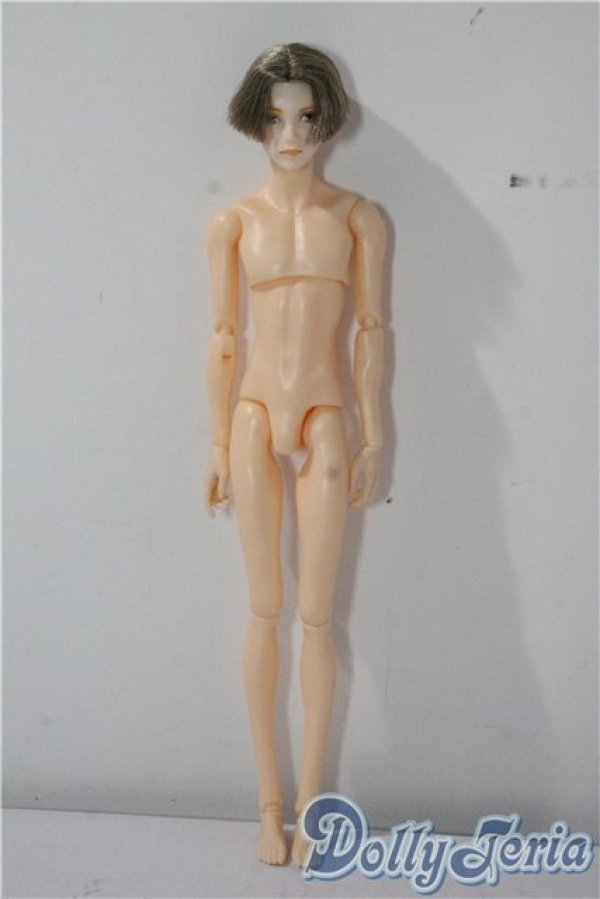 画像2: petworks/六分の一男子図鑑　エイト A-25-09-17-1027-TN-ZU (2)