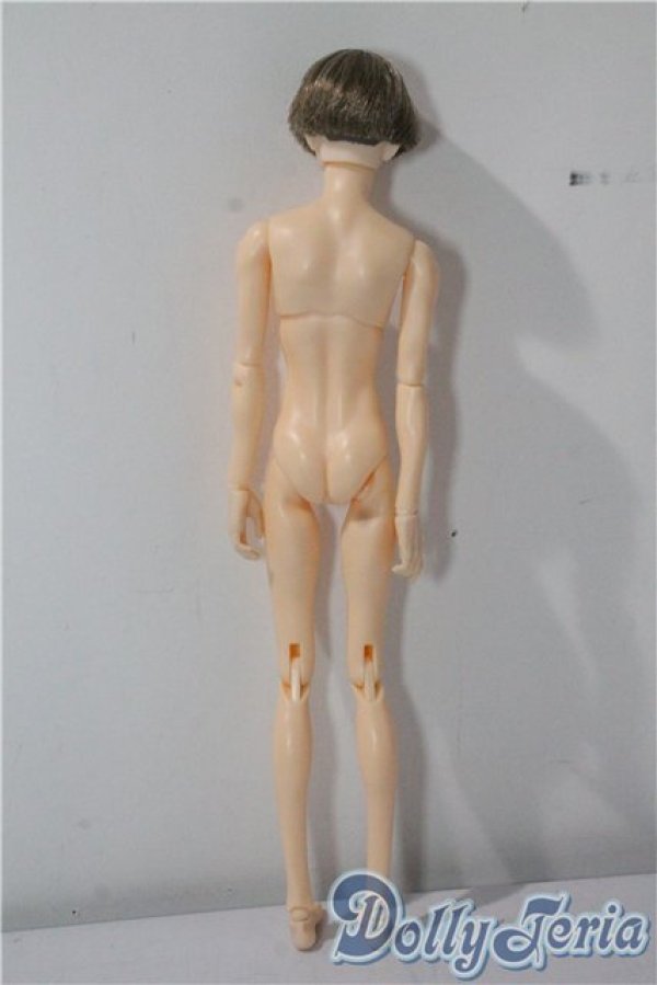 画像3: petworks/六分の一男子図鑑　エイト A-25-09-17-1027-TN-ZU (3)