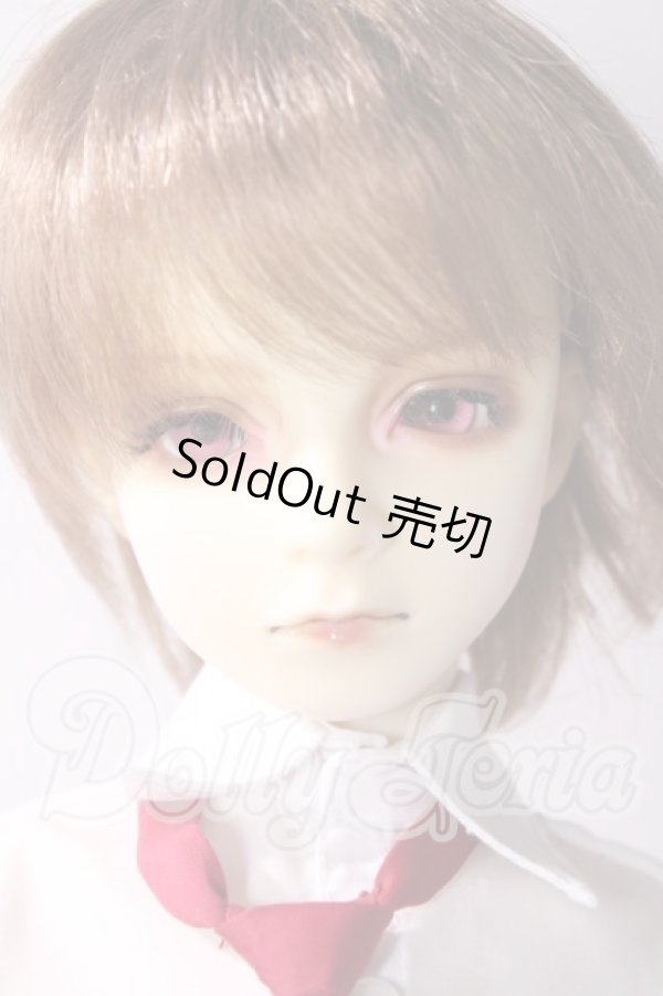 画像1: SD13BOY/DWC #01ヘッド+13BOY分割ボディ U-25-09-23-218-TN-ZU (1)