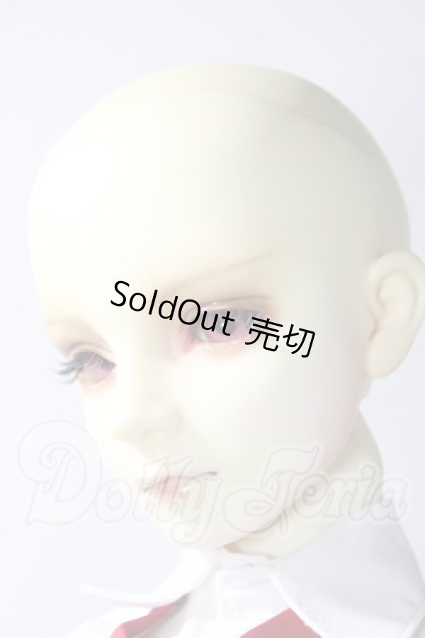 画像2: SD13BOY/DWC #01ヘッド+13BOY分割ボディ U-25-09-23-218-TN-ZU (2)
