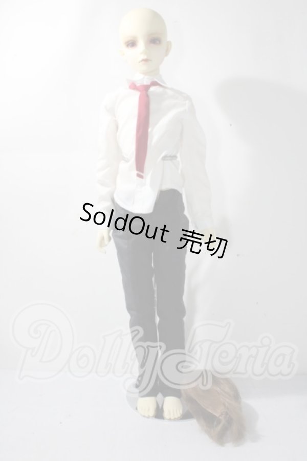 画像5: SD13BOY/DWC #01ヘッド+13BOY分割ボディ U-25-09-23-218-TN-ZU (5)