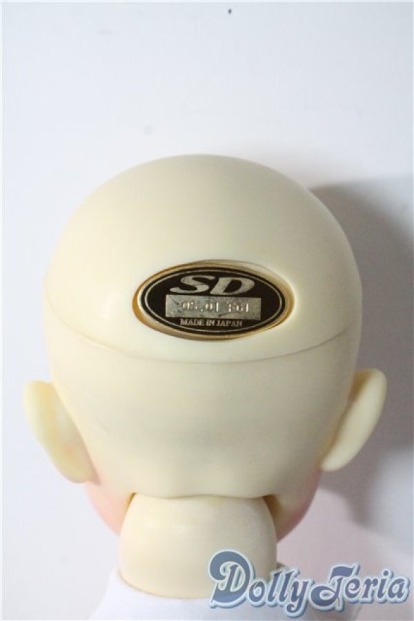 画像6: SD13BOY/DWC #01ヘッド+13BOY分割ボディ U-25-09-23-218-TN-ZU (6)