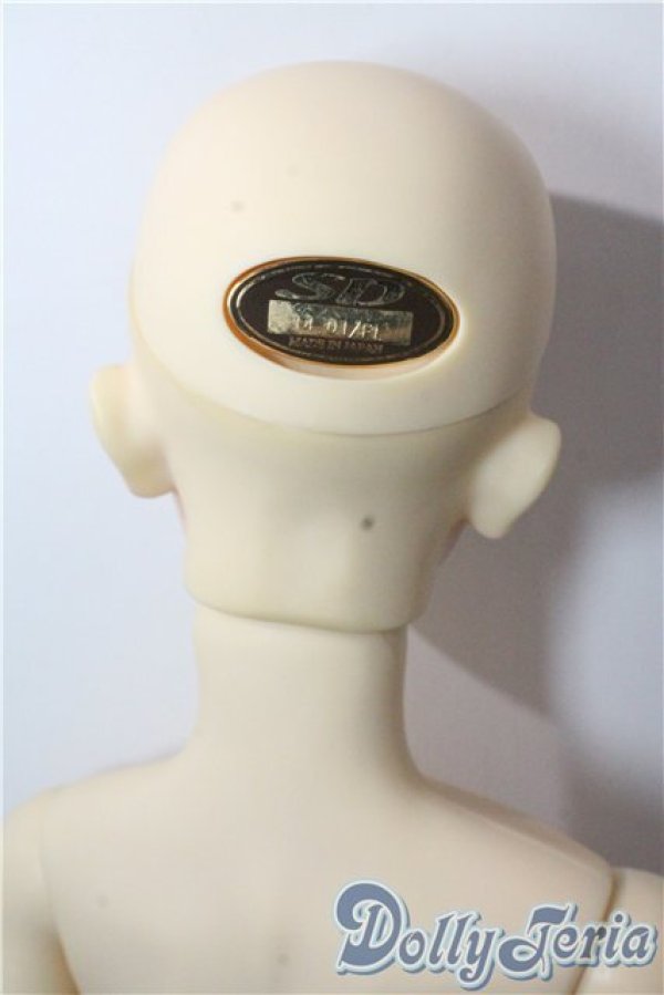 画像7: SD13B/フルチョイス SD-F-38 U-25-09-16-216-TN-ZU (7)