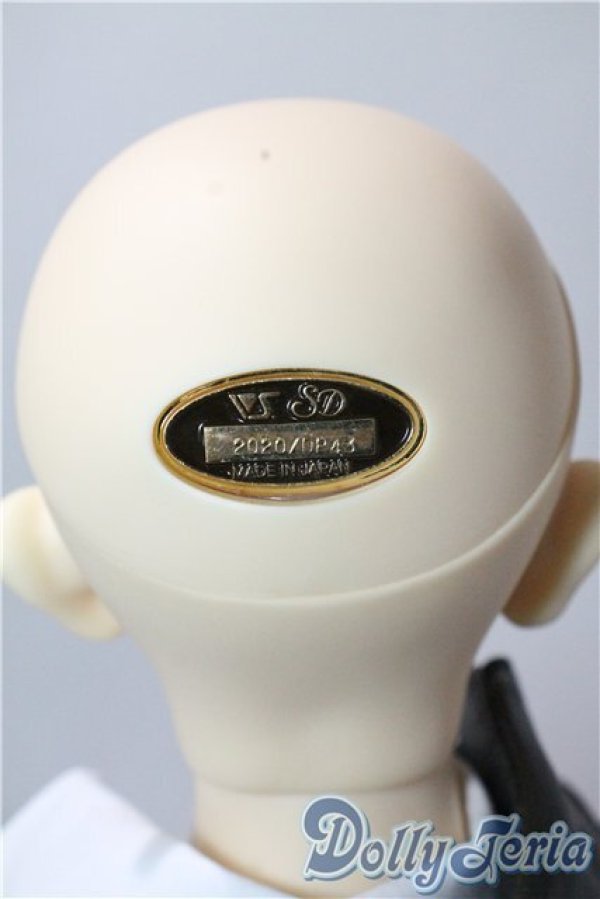 画像6: SD17BOY/キャプテンセシル U-25-09-23-219-TN-ZU (6)