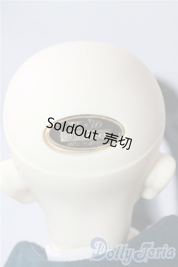 画像6: SD17B/ウィリアムズ Williams Commodore Ver.2 U-25-09-23-220-TN-ZU (6)